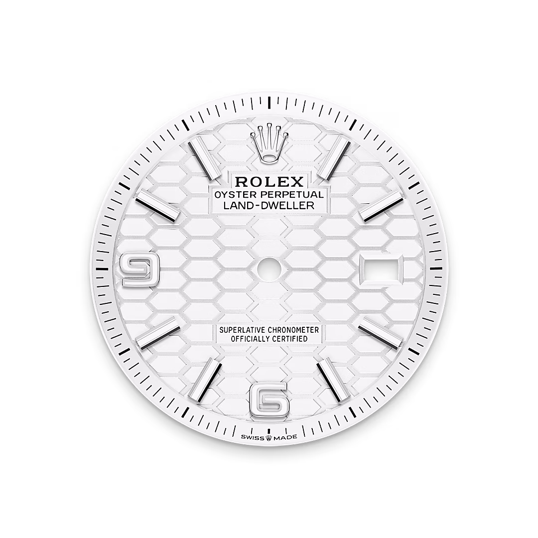 Rolex Land-Dweller 36 — Tiefweißes Zifferblatt