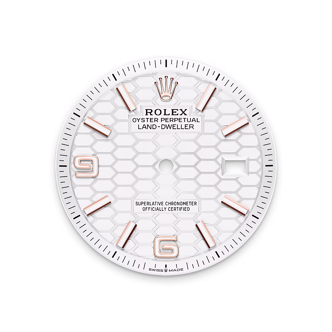 Rolex Land-Dweller 36 — Tiefweißes Zifferblatt