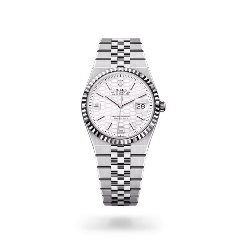 Rolex Land-Dweller 36